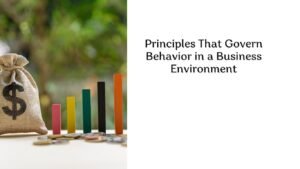 Principles That Govern Behavior in a Business