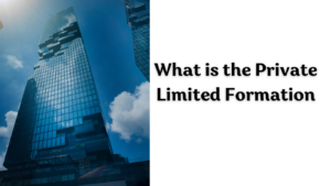 What is the Private Limited Formation