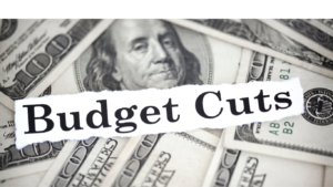 Customs Duty Cuts in Budget 2024