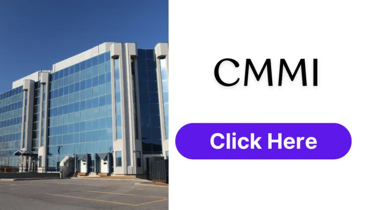 CMMI- IT Companies