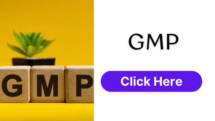 GMP - Goods Manufacturing Practices